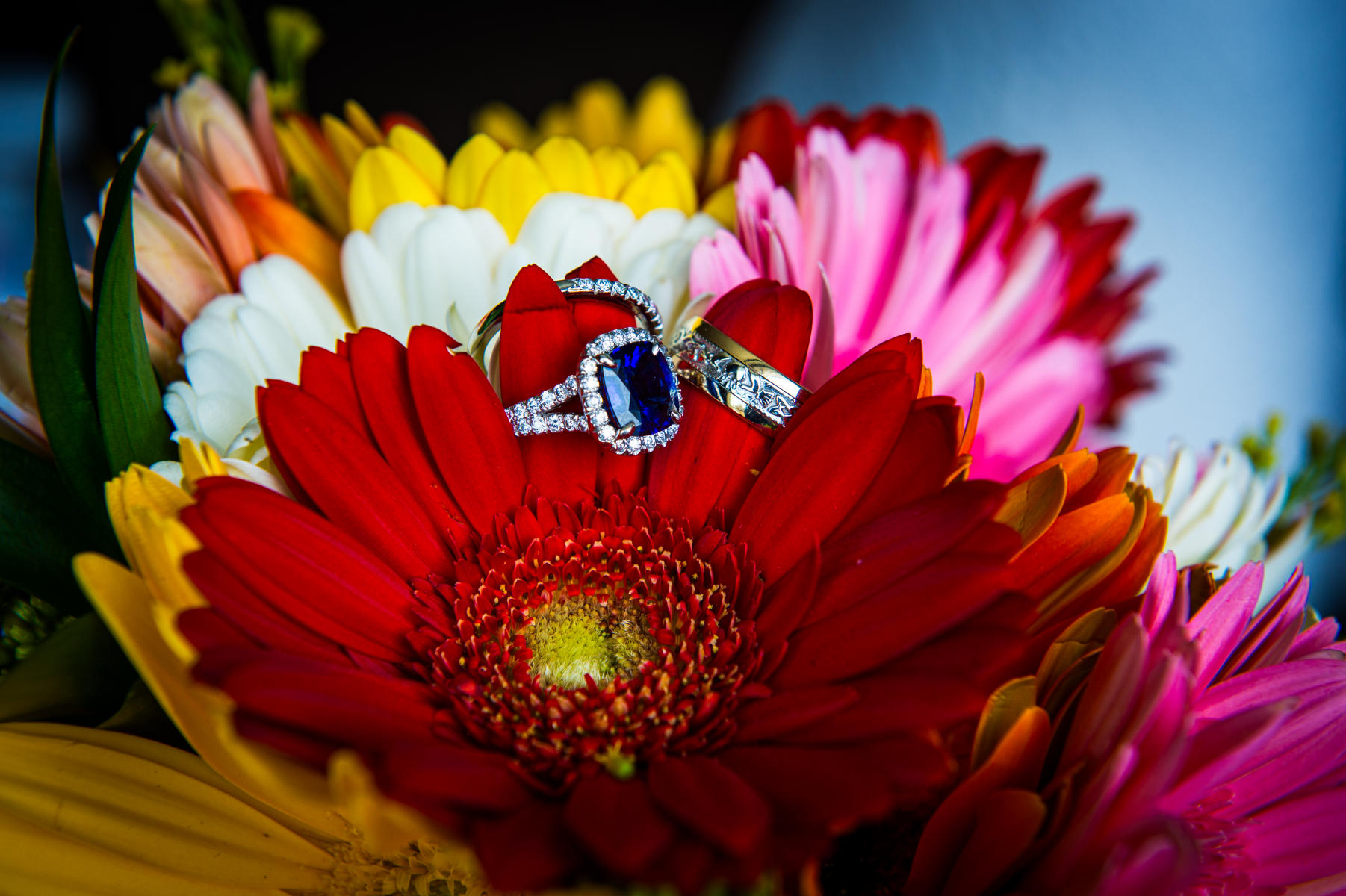  : Weddings : Daniel Goodrich 